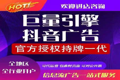 竞价广告赚钱案例：从新手到专家